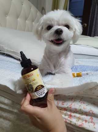 단츄♡님이 올린 리뷰 사진 1