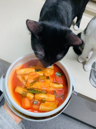 응큼떡볶이 — 5점을 준 리뷰어가 2021년 3월 올린 사용 사진