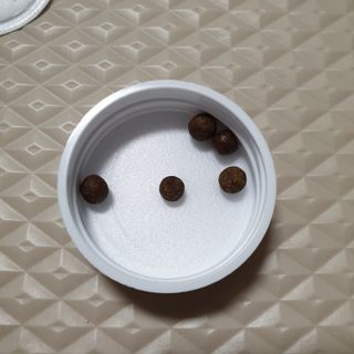 펫21 그로그로 5종 강아지 고양이 반려동물 한방 영양제 — 4.5점을 준 리뷰어가 2021년 11월 올린 사용 사진