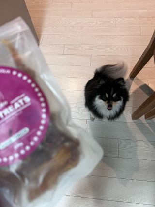 ovely님이 올린 리뷰 사진 3