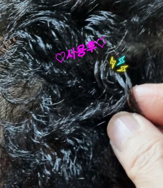 참살이님이 올린 리뷰 사진 4