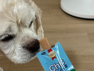 프리[칙스틱](닭고기 데리야끼맛/ 닭고기와 야채맛 두가지맛 각2ea제공) — 5점을 준 리뷰어가 2024년 9월 올린 사용 사진