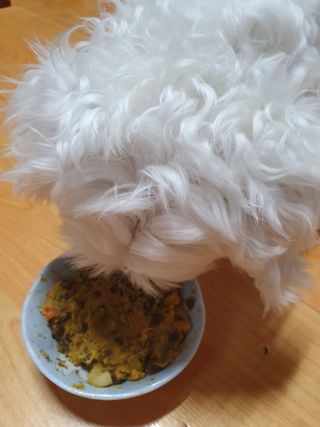 이챠님이 올린 리뷰 사진 3