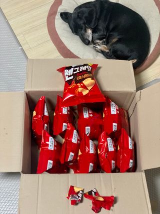 콩이누나님이 올린 리뷰 사진 2