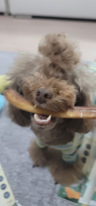 나초단맘님이 올린 리뷰 사진 3
