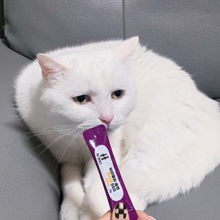 ㄹ진님이 올린 리뷰 사진 1