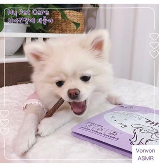 My Pet Care 천연단백질 치아건강에 개좋아 — 5점을 준 리뷰어가 2021년 2월 올린 사용 사진