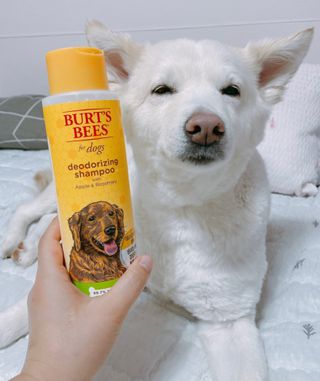 bori0924님이 올린 리뷰 사진 1