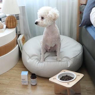 알럽은서님이 올린 리뷰 사진 4