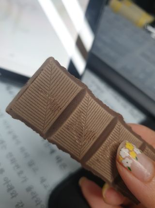 당류2g 자일리톨로 단맛을낸 슈카 퓨어비건 무설탕초콜릿 Xucker vegan 2개입 — 2점을 준 리뷰어가 2021년 4월 올린 사용 사진