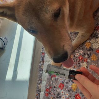 루비님이 올린 리뷰 사진 4