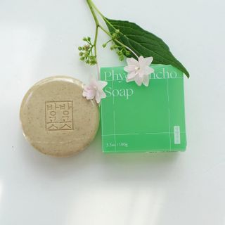 푸르매님이 올린 리뷰 사진 4