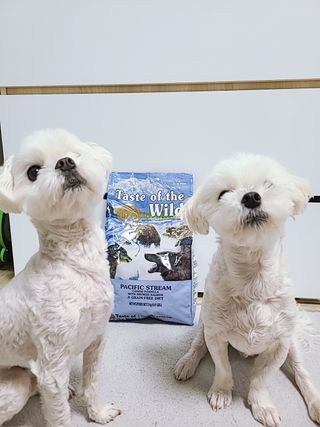 자기전님이 올린 리뷰 사진 2