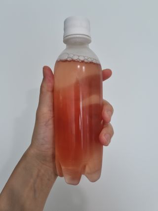 더그레잇티 콤부차 [매일유업] 더그레잇티 44kcal 콤부차 300ml *12개입 (오리지널 6개+베리리치 6개) — 5점을 준 리뷰어가 2023년 8월 올린 사용 사진