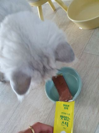 페페로니 맛있는 스틱 - 무항생제 닭고기 15개 + 원양선 참치 15개 — 5점을 준 리뷰어가 2021년 8월 올린 사용 사진