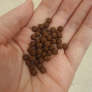 kijoco님이 올린 리뷰 사진 1