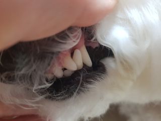 모름님이 올린 리뷰 사진 4