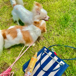 쏭블리님이 올린 리뷰 사진 3