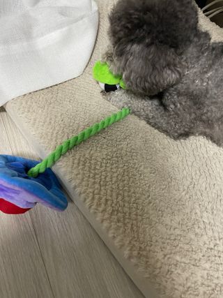 won0님이 올린 리뷰 사진 4