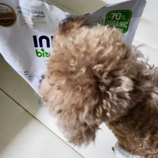 사랑해안시영님이 올린 리뷰 사진 2