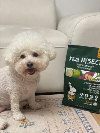 [푸디웜] 라포그  리얼인섹트 웨이트밸런스 저알러지 강아지 사료  1.2KG — 5점을 준 리뷰어가 2022년 7월 올린 사용 사진