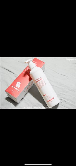 [댕모어 샴푸 2종] 댕샴푸 / 퍼피샴푸  2종 세트 (300ml) — 5점을 준 리뷰어가 2023년 9월 올린 사용 사진