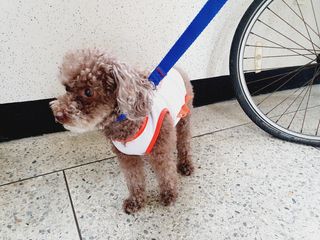 달콤오기님이 올린 리뷰 사진 4