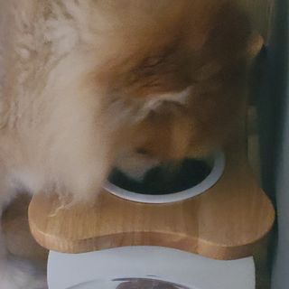 응답하라공팔님이 올린 리뷰 사진 3