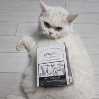 파비올라님이 올린 리뷰 사진 4