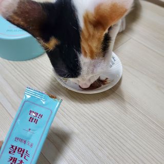 페페로니 잘 먹는 캣츄 - 원양선 참치 24개입 — 4점을 준 리뷰어가 2021년 7월 올린 사용 사진
