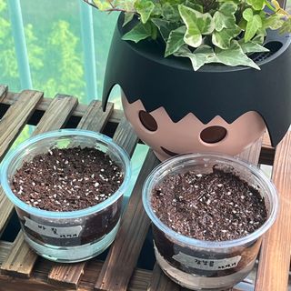 ysssu님이 올린 리뷰 사진 1