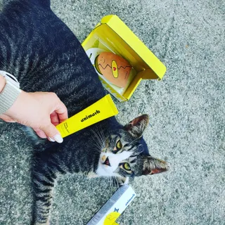 쏭이엄마님이 올린 리뷰 사진 4