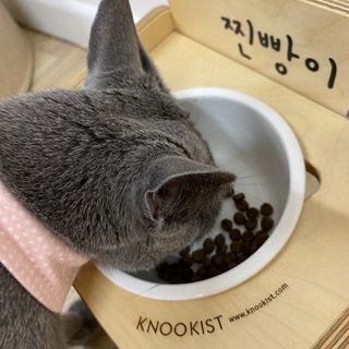 율집사님이 올린 리뷰 사진 2