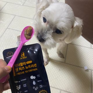 곽현정님이 올린 리뷰 사진 4