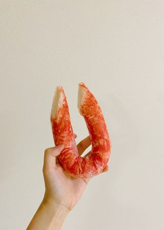 한성기업 와일드 크래미 — 5점을 준 리뷰어가 2021년 9월 올린 사용 사진