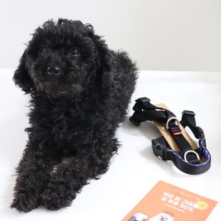 우와한언니님이 올린 리뷰 사진 1