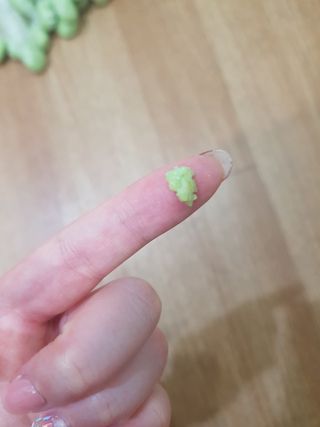 김고양이님이 올린 리뷰 사진 4