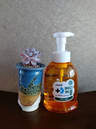 오쎄 메디버블 핸드워시폼 500ml 1+1 (그린애플향) — 5점을 준 리뷰어가 2023년 5월 올린 사용 사진