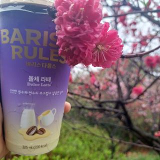 바리스타룰스 돌체 라떼 — 5점을 준 리뷰어가 2023년 4월 올린 사용 사진