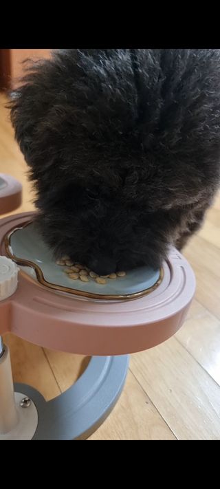 apple님이 올린 리뷰 사진 3