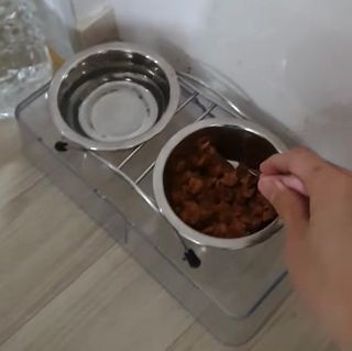 비타크래프트 조에시 하트캔 85g 강아지 습식캔 10캔 — 5점을 준 리뷰어가 2021년 10월 올린 사용 사진