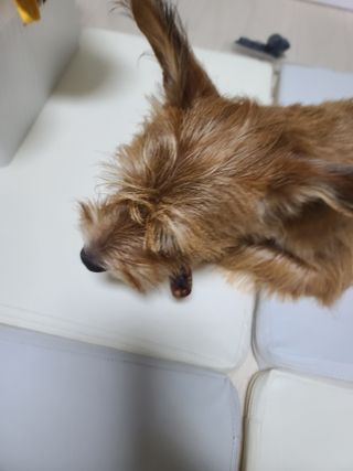 커피보고왔엄님이 올린 리뷰 사진 1