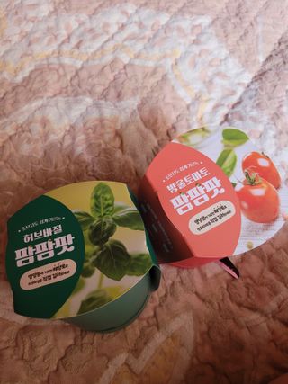 몽몽님이 올린 리뷰 사진 1