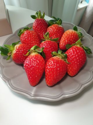 옳음 딸기 논산 설향 딸기 900g 산지직송 — 5점을 준 리뷰어가 2021년 1월 올린 사용 사진