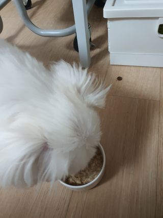 뽀오오옹님이 올린 리뷰 사진 3