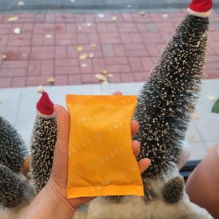 kkummi님이 올린 리뷰 사진 1