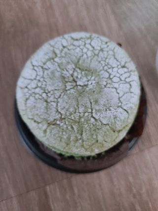 으싯님이 올린 리뷰 사진 1