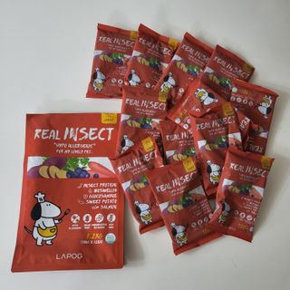 [푸디웜] 라포그  리얼인섹트 관절 저알러지 강아지 사료  1.2KG — 5점을 준 리뷰어가 2022년 8월 올린 사용 사진