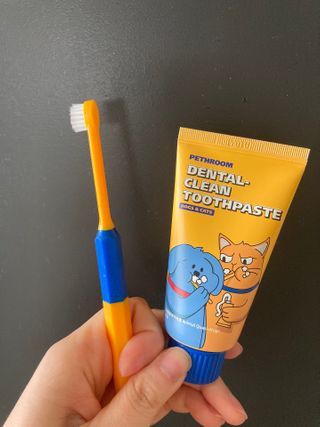 Pethroom 페스룸 PETHROOM DENTAL CARE SET 페스룸 덴탈 케어 세트 / 덴탈 클린 칫솔 + 덴탈 클린 치약 — 5점을 준 리뷰어가 2020년 12월 올린 사용 사진