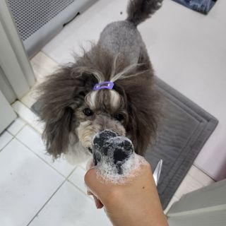 Cherish님이 올린 리뷰 사진 3